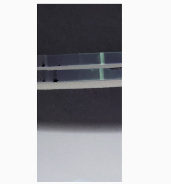 Evap or faint positive [picture warning]