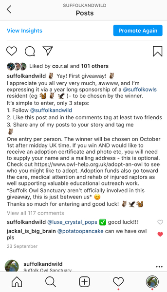 Instagram Giveaway fail