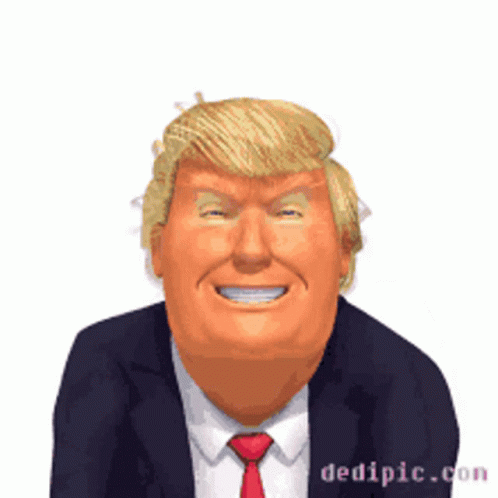 to not believe Trump has Covid?