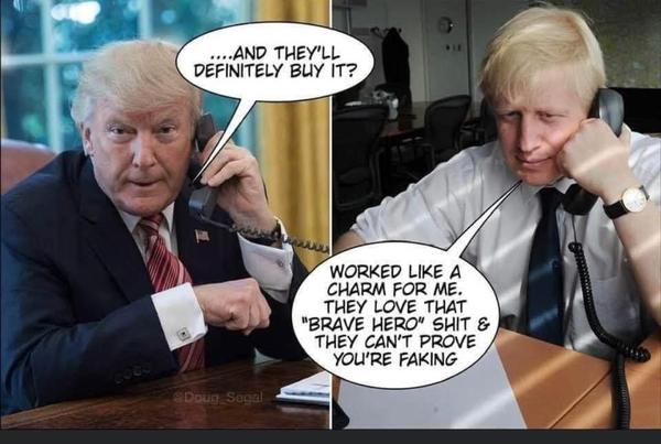 to not believe Trump has Covid?