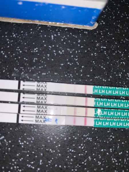 First time using ovulation sticks