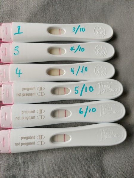 Am I Pregnant?