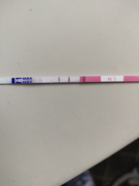 Evap or faint positive [picture warning]