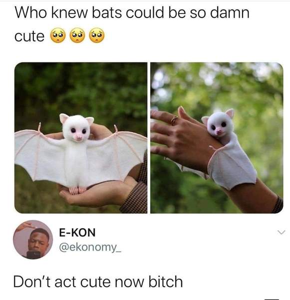Can we have a meme thread?