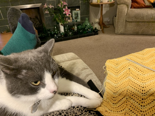 What's your DCat up to today? (Thread 8)
