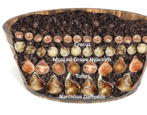 Les Parisiennes de Mamansnet: L'enfer c'est les Autres