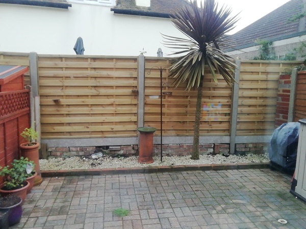 How should i plant up my garden?