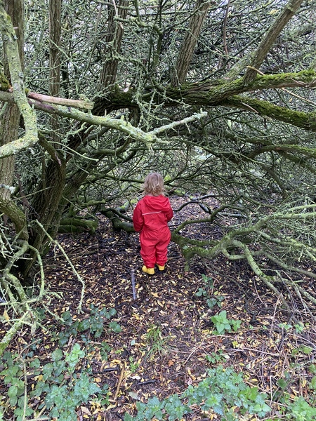 Trapped Toddler Parents of Winter 2020/21 Support Thread - Puddlesuits at the ready!