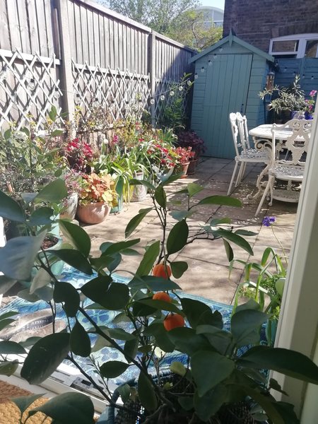 The Perfect Home Compost
