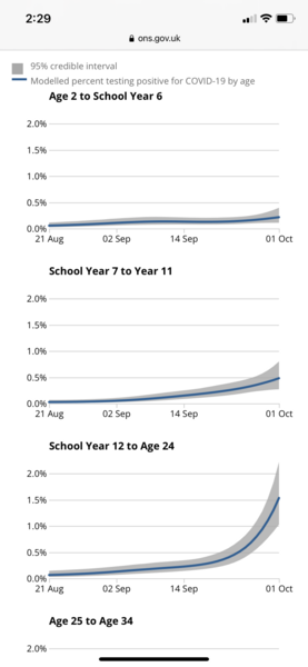 Coronavirus outbreaks in England spreading mostly in schools