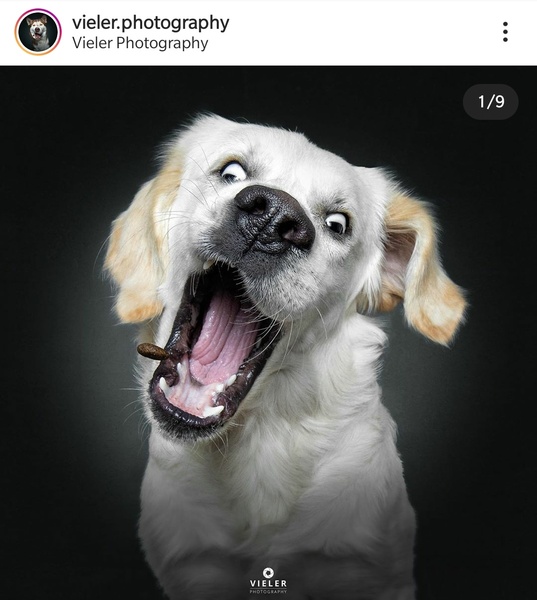 Realistically, is the main purpose of social media to show off?