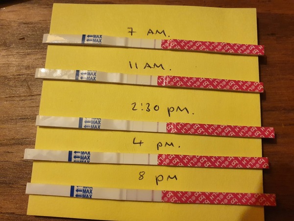 Post Pill TTC – Party Harder