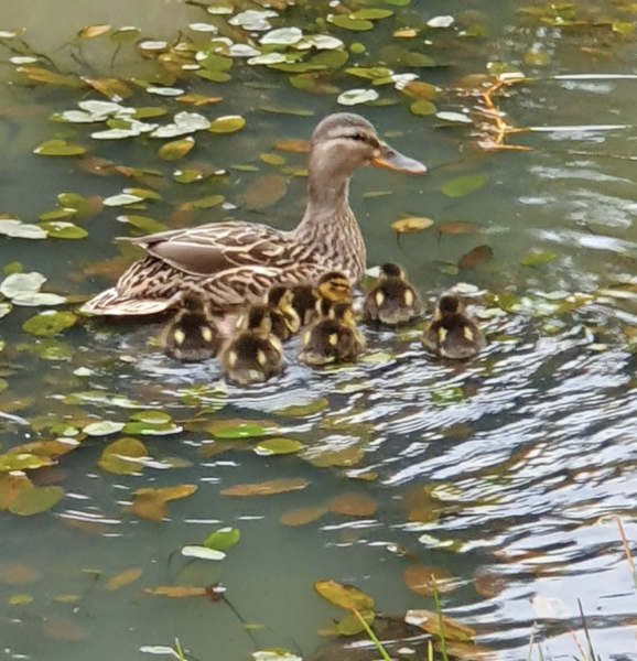 NOT what I expected to wake up to this morning...