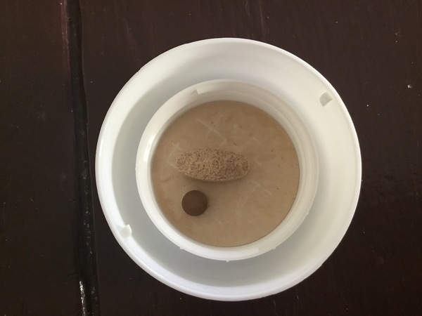 low ferritin? feeling awful