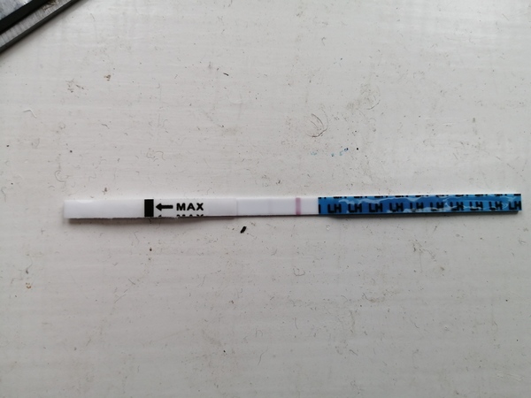 First time using an OPK can anyone help?