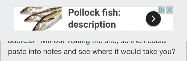 River otter