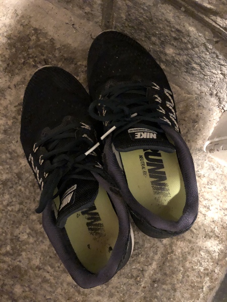 Any trainer gurus? I know nothing- please help!