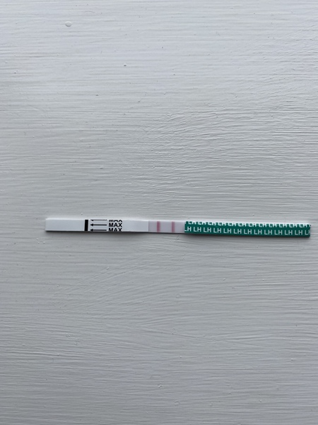 Tracking your cycle and possible BFP using RHR - part 4