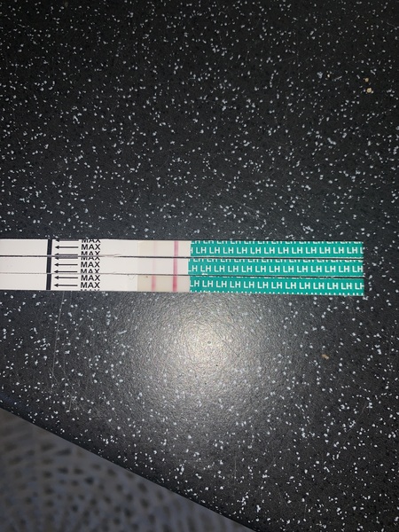 First time using ovulation sticks
