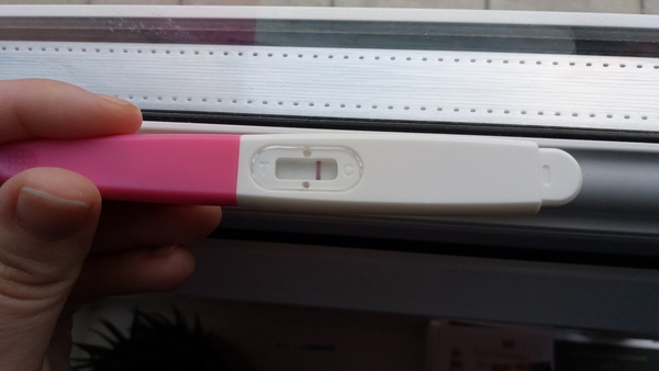 BFP rainbow babies