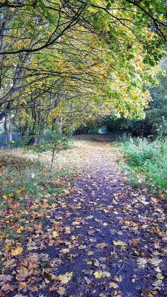 Lovely walking through the forest so de stressing .  What do you do to de stress?