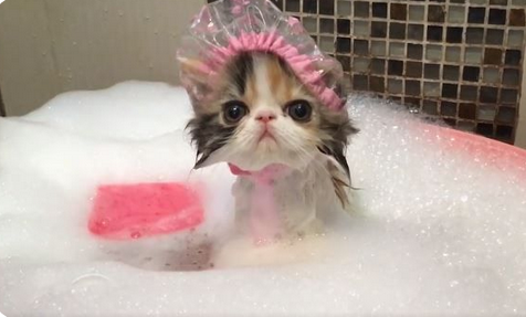 The Breakfast Club Returns!