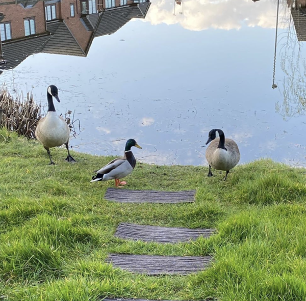 NOT what I expected to wake up to this morning...