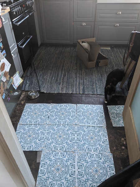 Anyone used floorpops?  Help me decide!
