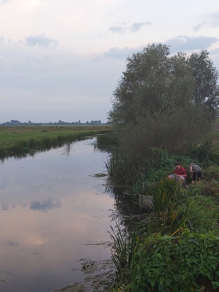 Why does covid hate the East of England? Wrong answers only please.