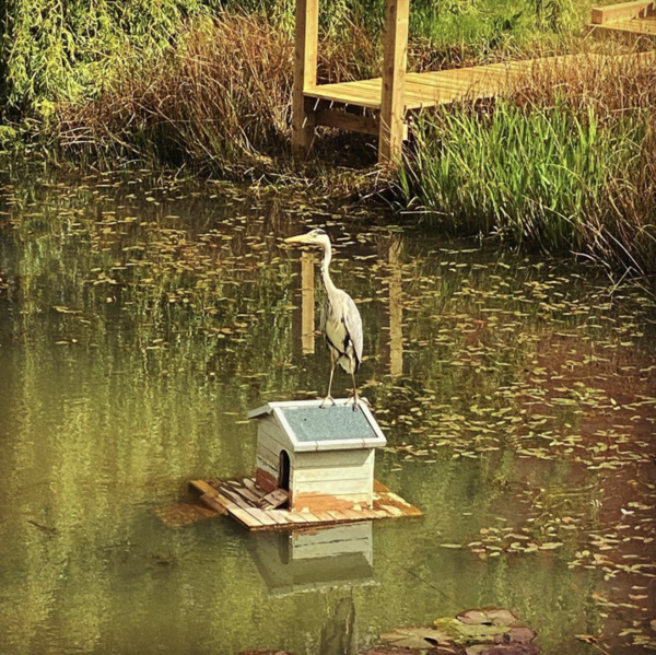 NOT what I expected to wake up to this morning...