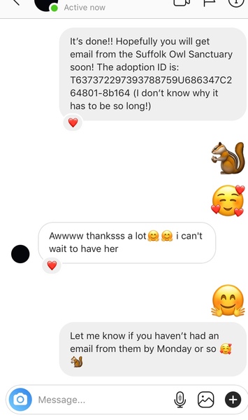 Instagram Giveaway fail