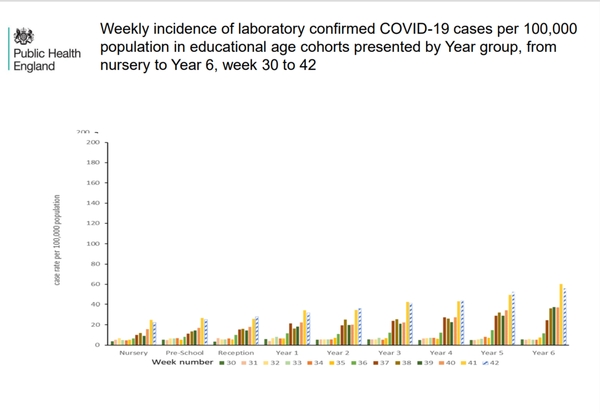 Pure data thread #1: Daily numbers, graphs, focused analyses