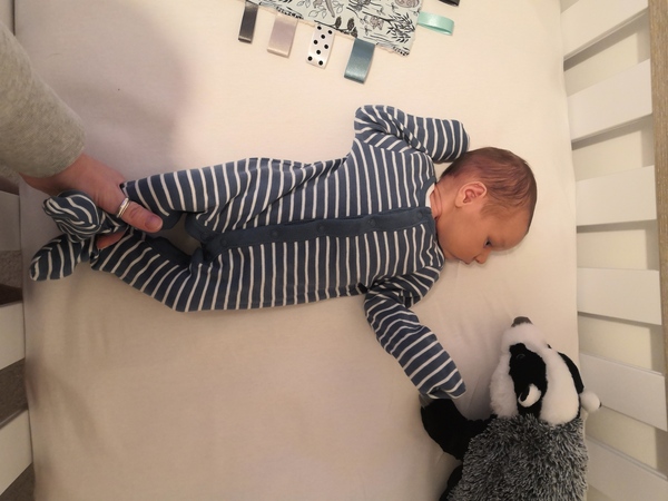 The babies are here! September 2020