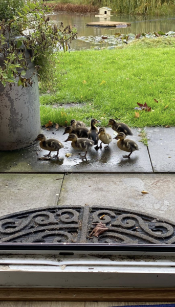 NOT what I expected to wake up to this morning...