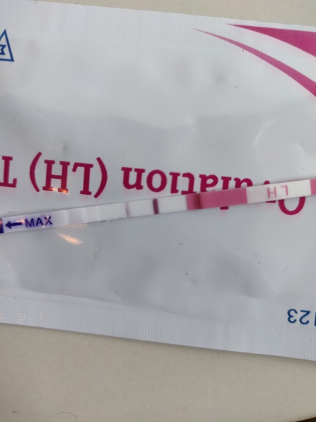 Evap or faint positive [picture warning]