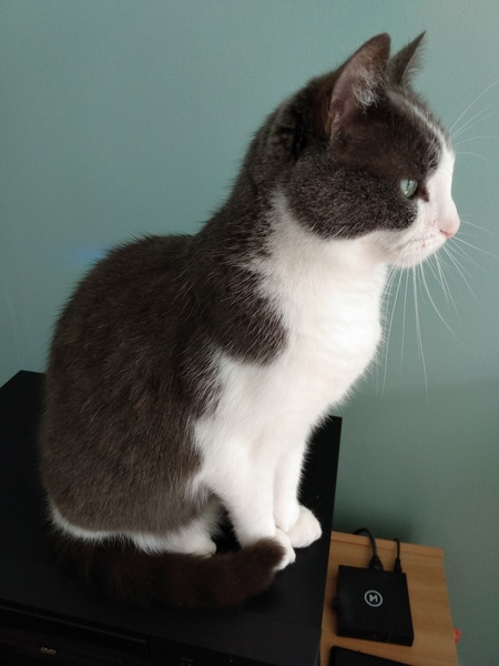 What's your DCat up to today? (Thread 8)