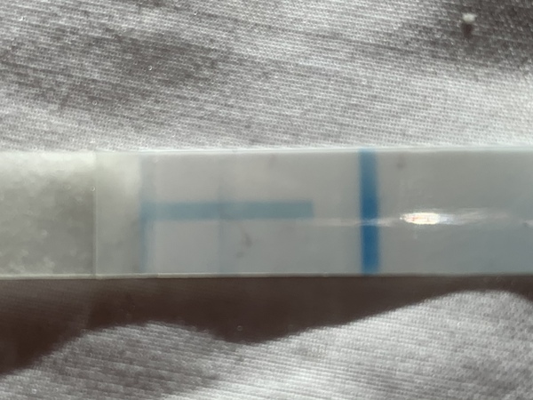 Self insemination - Any success stories?!