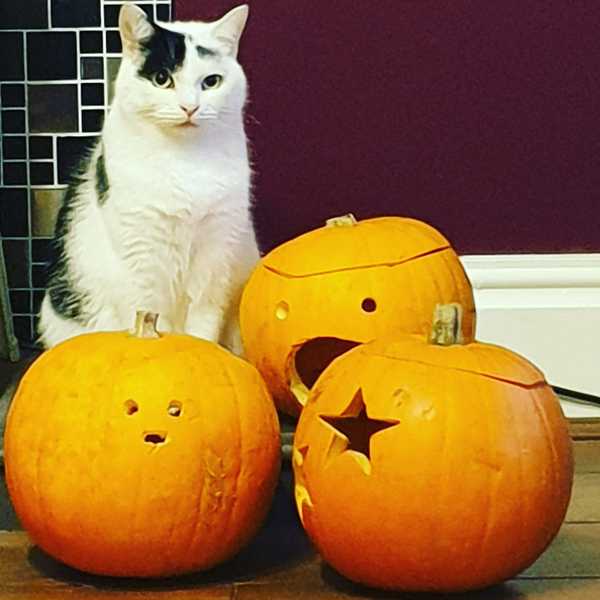 Can we have a post your cozy Autumn pic thread?