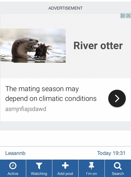 River otter