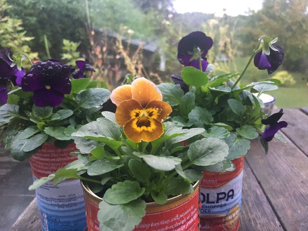 Ocado tips, hacks, Toblerone and Christmas