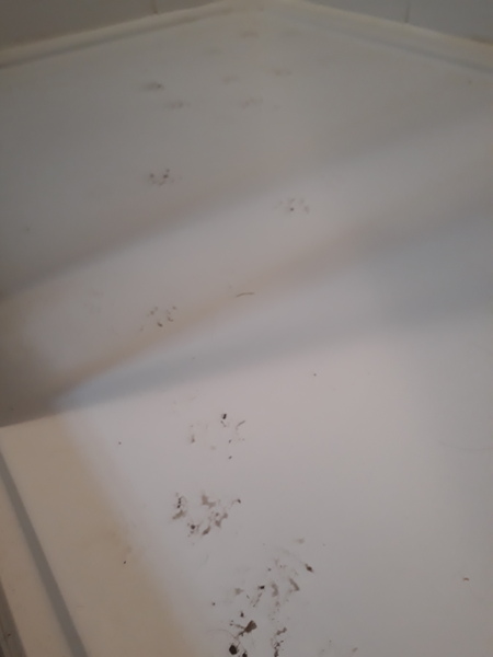 Swagger Inn 167 - Autumn is here, the days are getting shorter and colder...