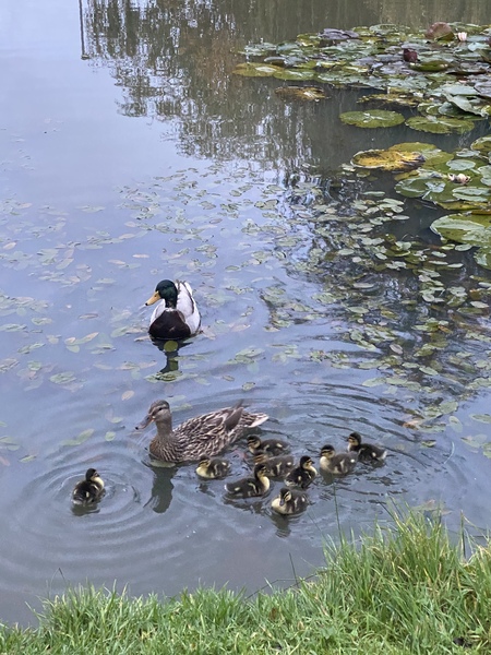 NOT what I expected to wake up to this morning...