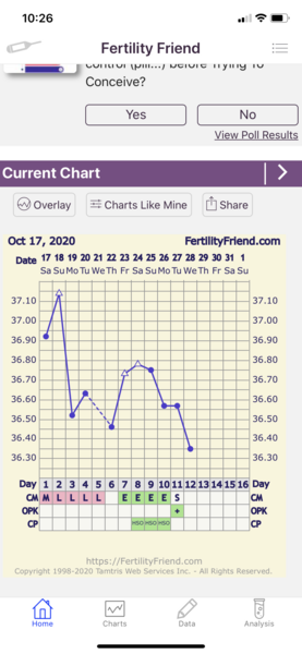 Tracking your cycle and possible BFP using RHR - part 4