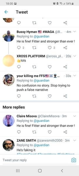 Westministenders: Brevid