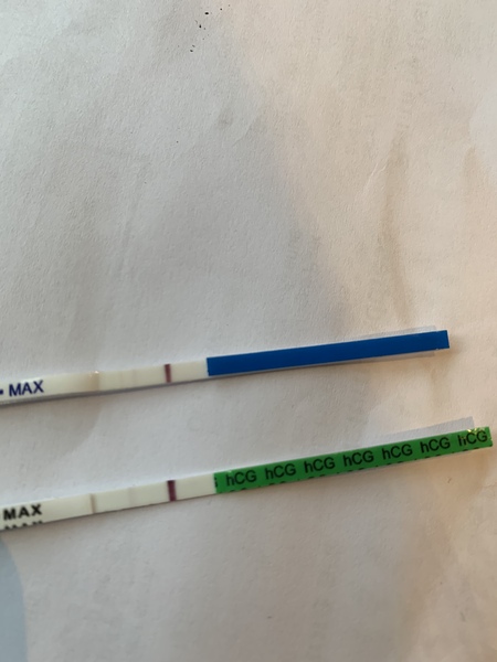 October IVF