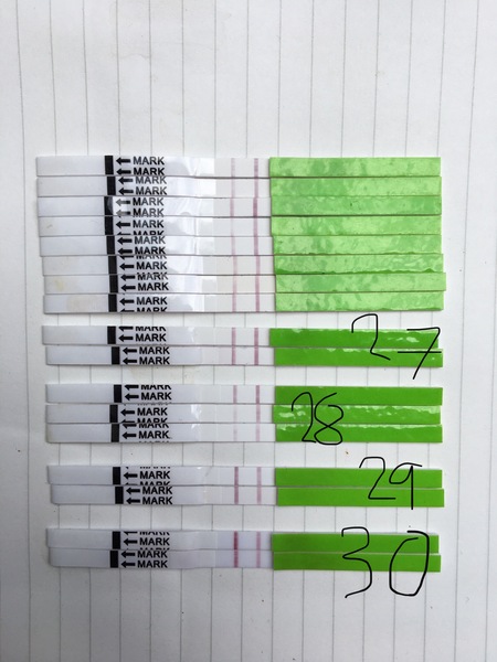 Nov Bus 20 - CD1 can suck hairy b*lls