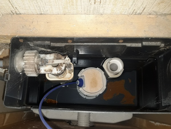 To not know how to fix the toilet asap??!