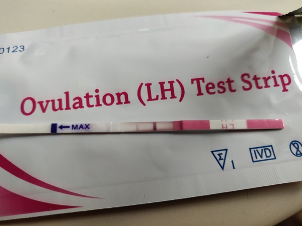 Evap or faint positive [picture warning]