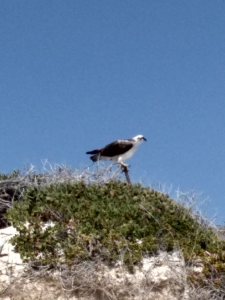 "YES it is SO worth it, YES it gets easier and YES we thought it was impossible as well - its not 😊"  A thread for those embracing an alcohol free existence.