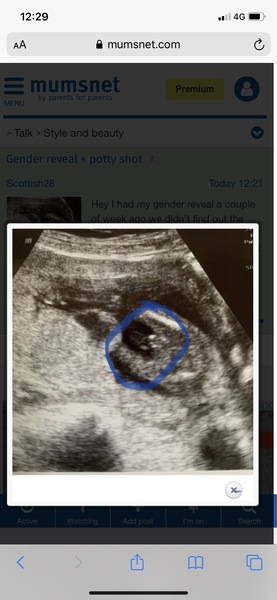 Gender reveal + potty shot